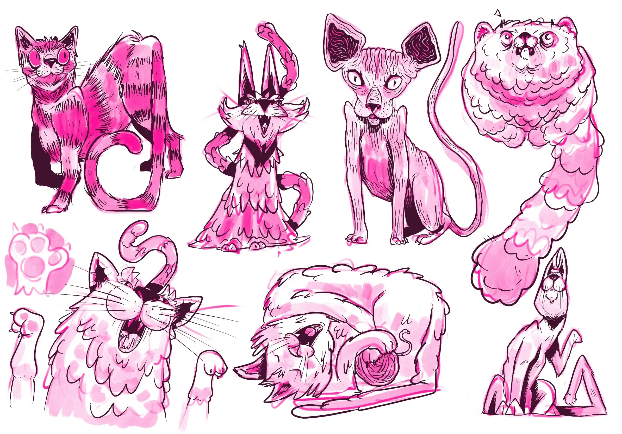 des chats - Illustration par Florian Leux (Toyso)