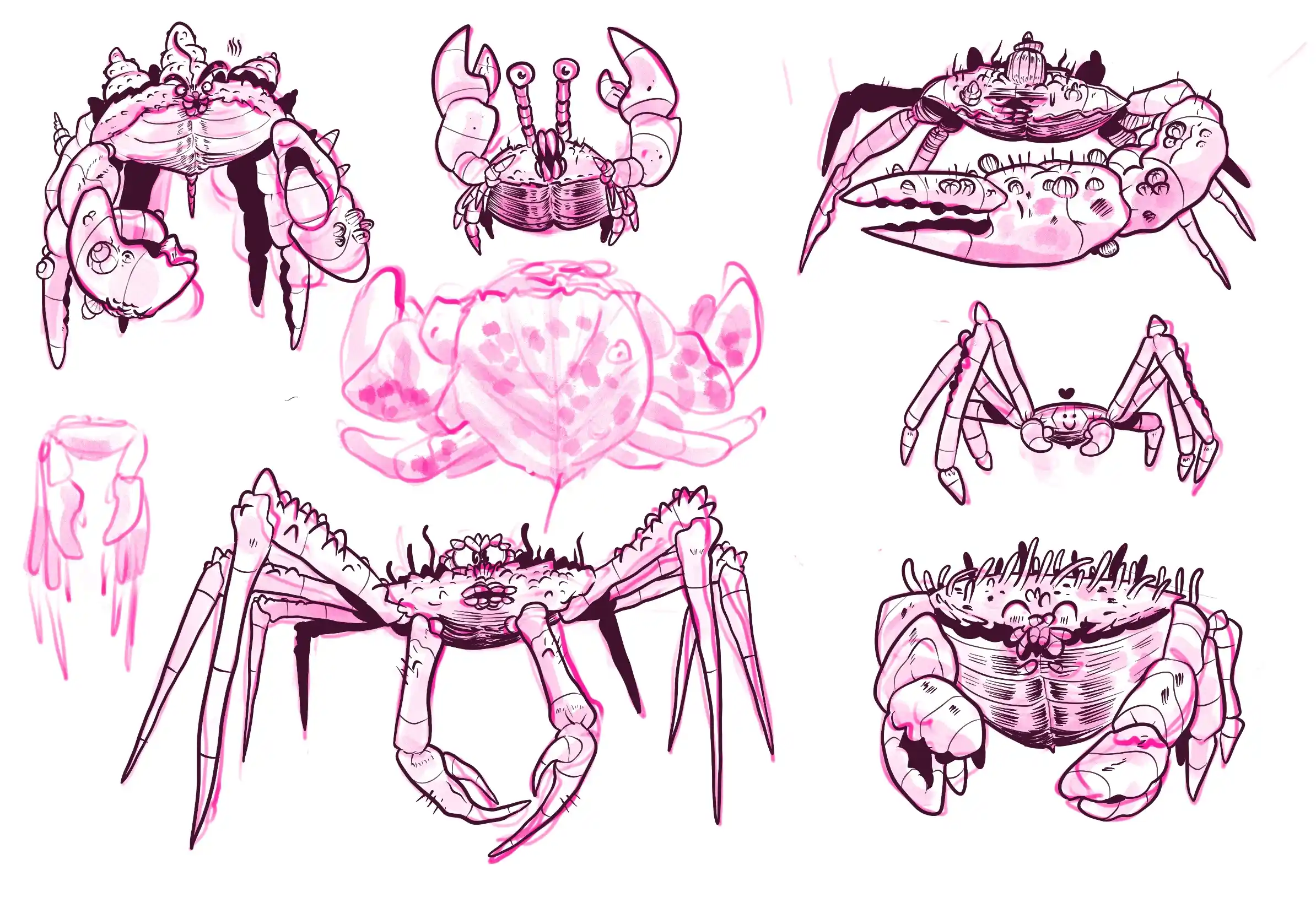 des crabes - Illustration par Florian Leux (Toyso)