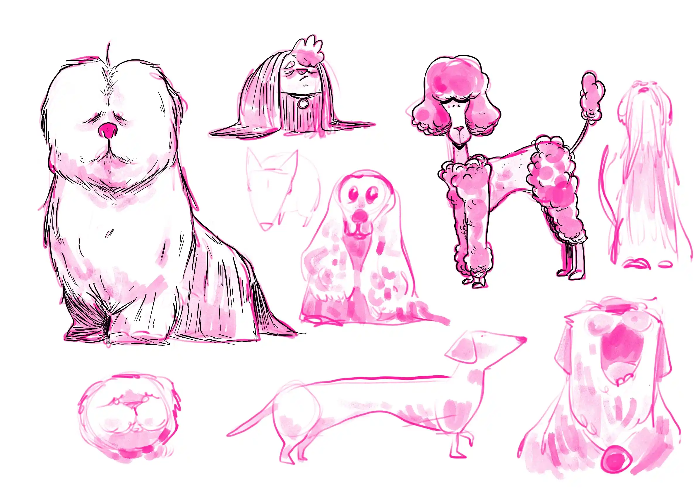 des chiens - Illustration par Florian Leux (Toyso)