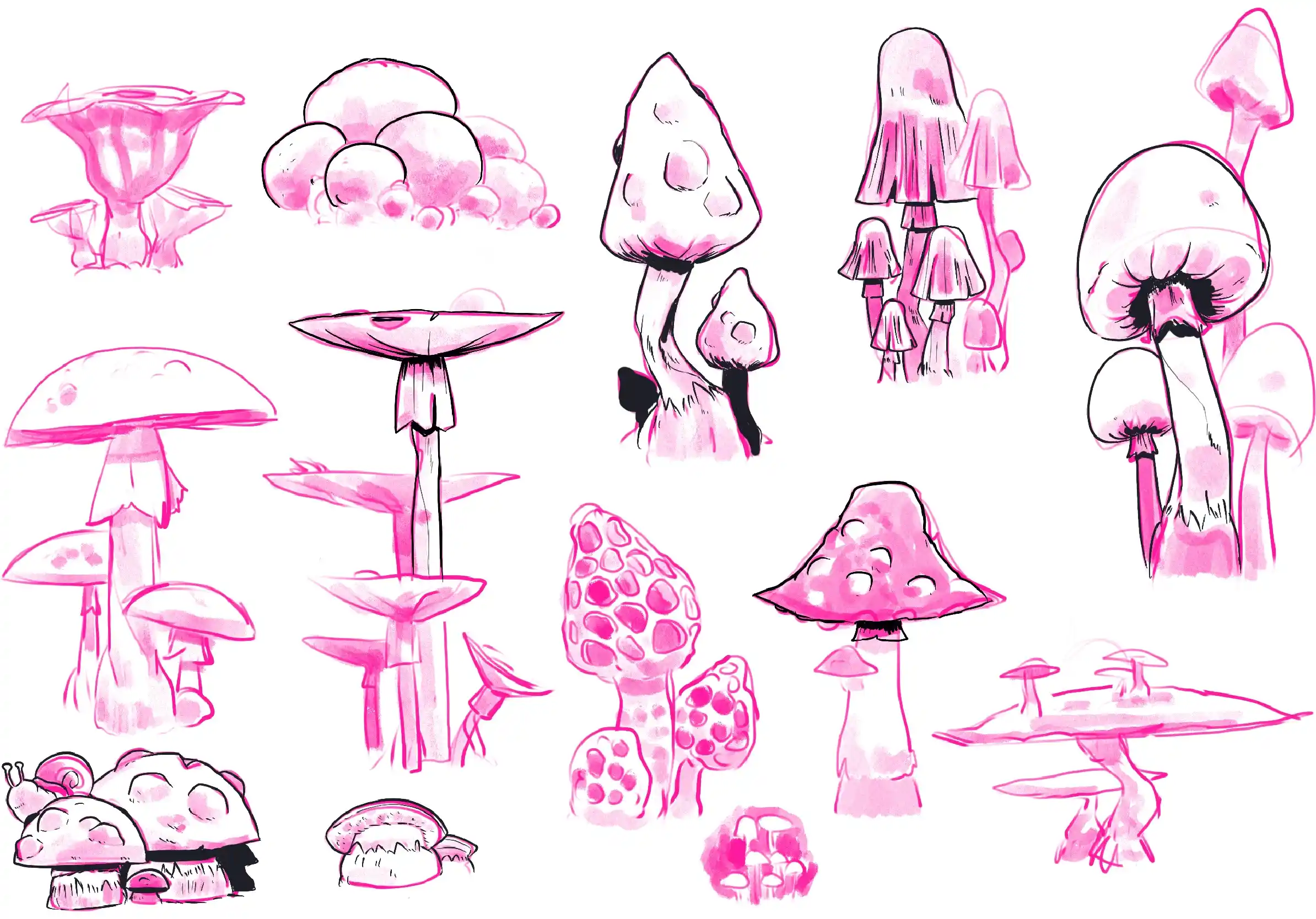 des champignons - Illustration par Florian Leux (Toyso)